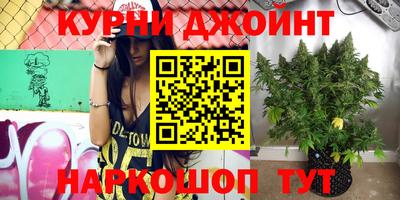 прущие грибы Мариинск