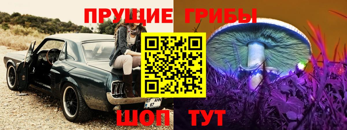 Псилоцибиновые грибы мицелий Чайковский