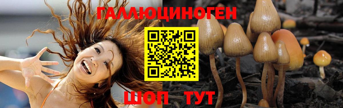 Чайковский  Галлюциногенные грибы прущие грибы  Вход с VPN 